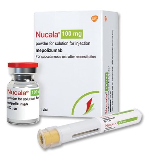 nucala 100 mg price in india mepolizumab cost in india cost of mepolizumab nucala cost mepolizumab cost nucala injection nucala inj nucala nucala 100 mg nucala injection cost nucala price in india nucala 100 mg price in india mepolizumab cost in india cost of mepolizumab nucala cost mepolizumab cost